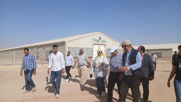 جولة نائب المحافظ