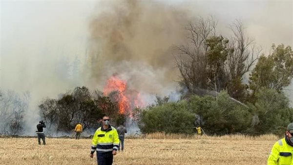 الحرائق في اسرائيل