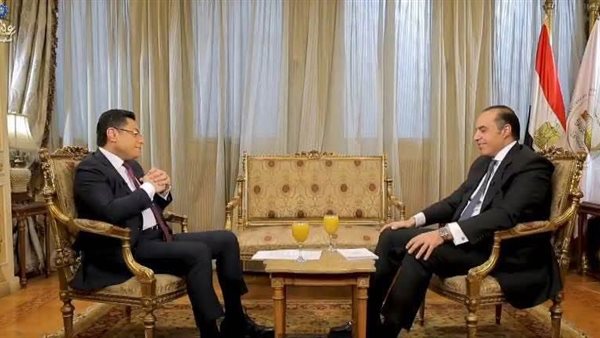  المستشار محمود فوزي