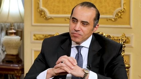  المستشار محمود فوزي