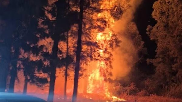 الحرائق في إسرائيل