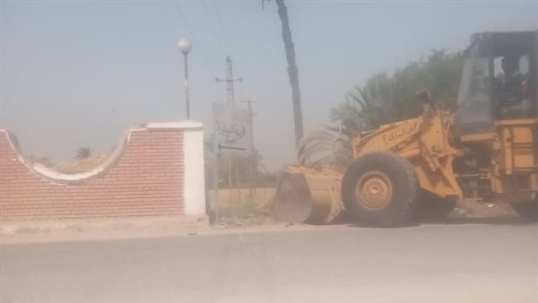 جانب من الفاعليات