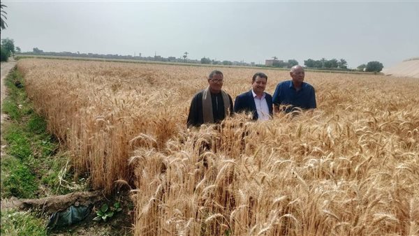 جانب من الفاعليات