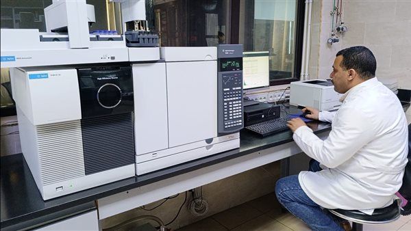 جانب من الفاعليات