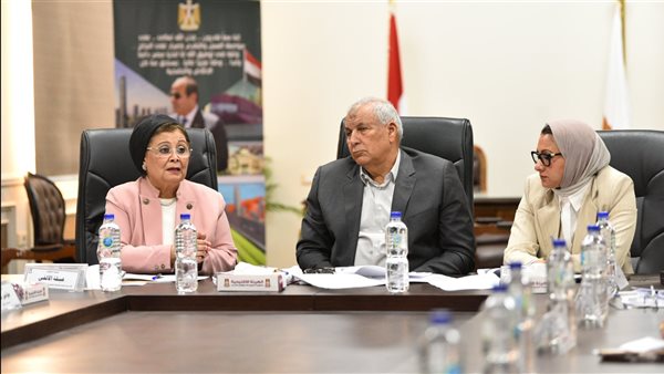 الدكتورة عبلة الألفي