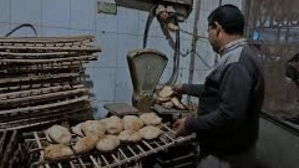 محافظ المنوفية يتابع