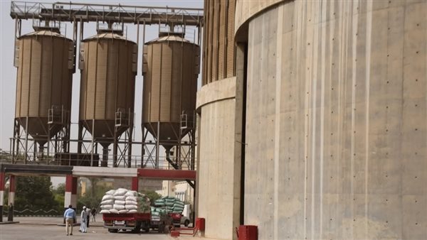 صوامع القمح