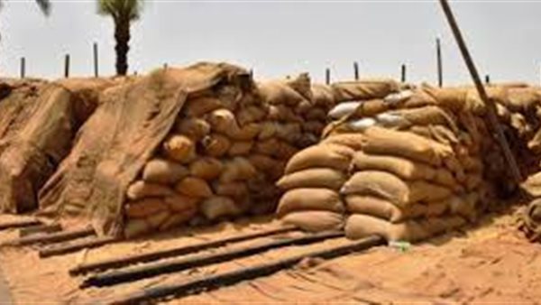 توريد محصول القمح