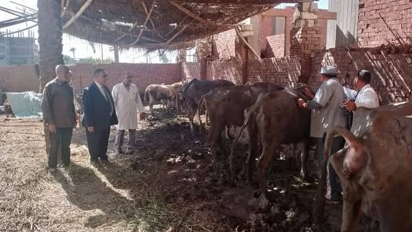 متابعة الحملة القومية