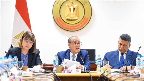 وزير الخارجية 