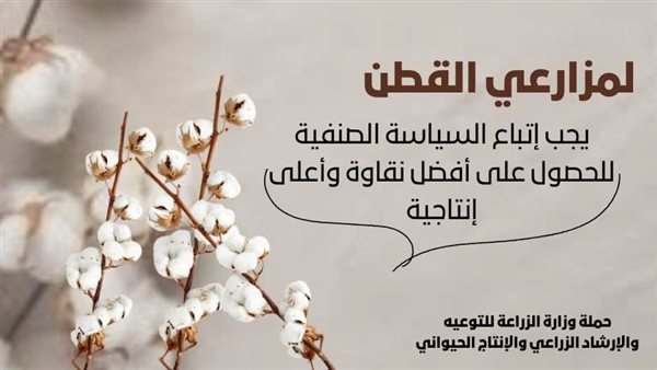 مزارعي القطن