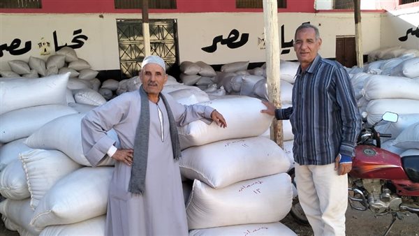 جانب من الفاعليات