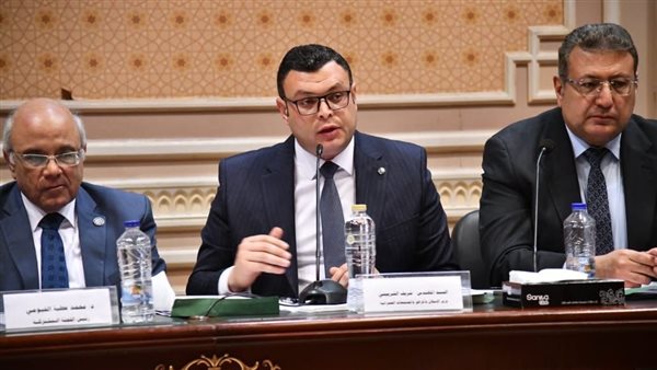 المهندس شريف الشربيني