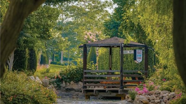 ماونتن ڤيو للتنمية