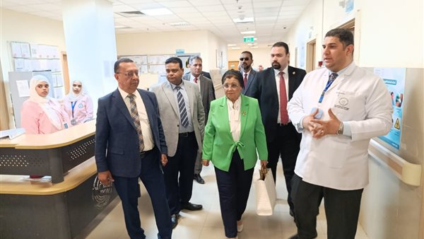 الدكتورة عبلة الألفي