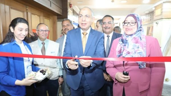 محافظ المنيا