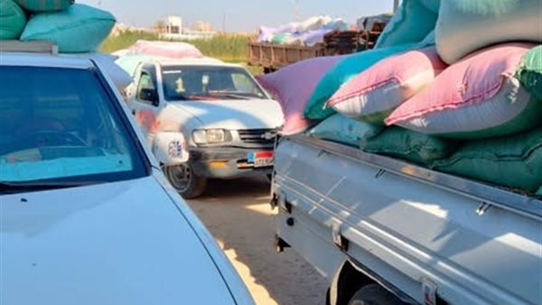 توريد ٤٦١٦٨ طن قمح