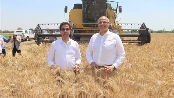 محافظ القليوبية ورئيس