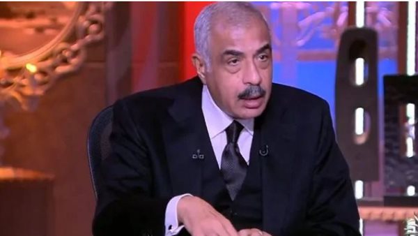 هشام طلعت مصطفى