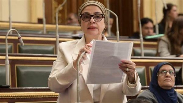 النائبة سميرة الجزار