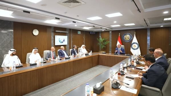 المهندس كريم بدوى