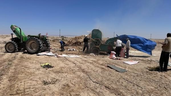 جانب من الفاعليات