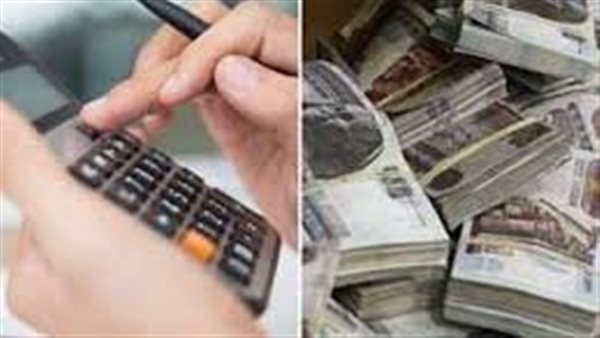 كم فوائد 100 جنيه