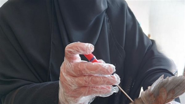 بيطري_كفرالشيخ: تحصين