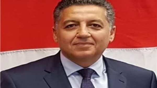 السفير عمر عامر