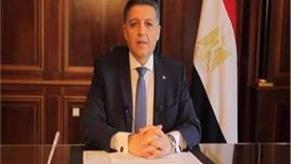 السفير عمر عامر