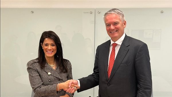 وزيرة التخطيط