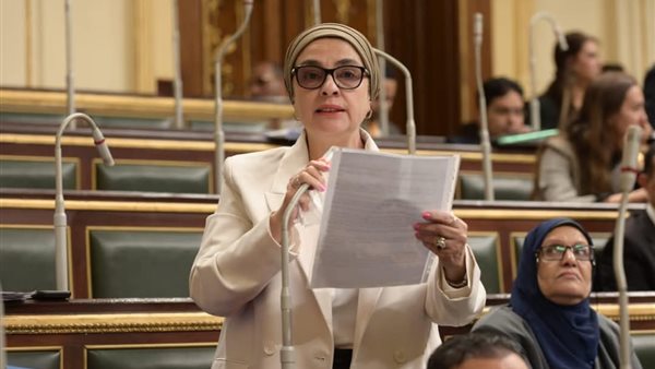 النائبة سميرة الجزار،