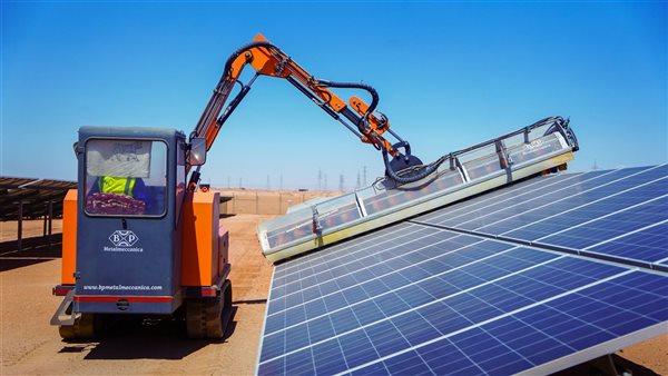 جانب من الفاعليات