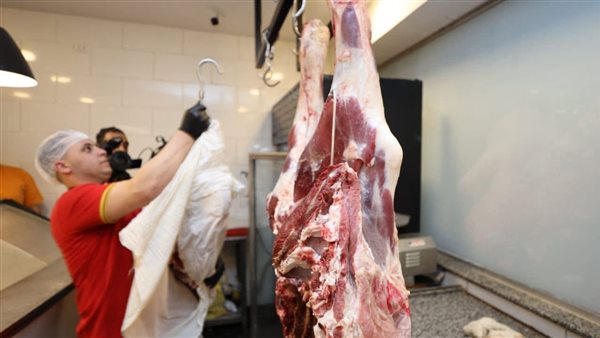 محافظ كفرالشيخ