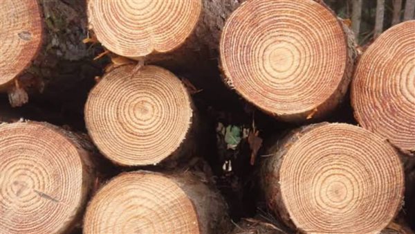 تفسير رؤية شراء الخشب