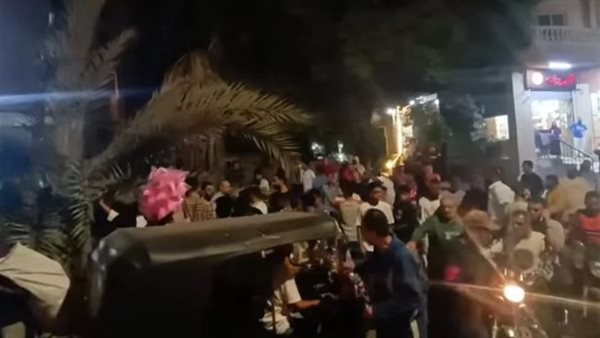 سقوط النخلة 