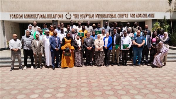 جانب من الفاعليات