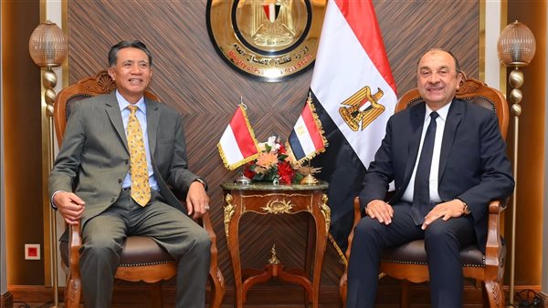 المهندس محمد شيمي،