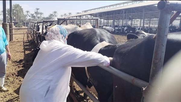 الهيئة العامة للخدمات