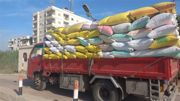 محافظه البحيره 