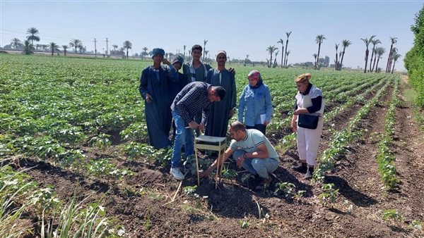 محافظ أسيوط