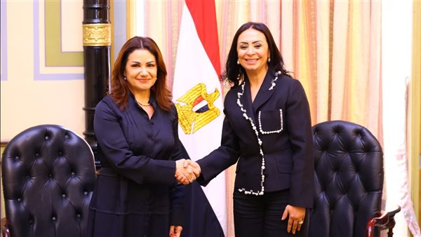 جانب من اللقاء 