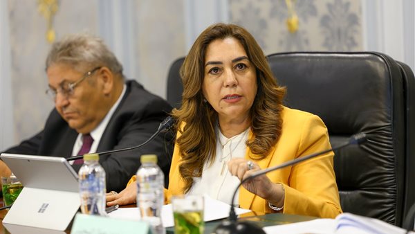 وزيرة التنمية المحلية