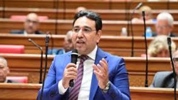 النائب أيمن محسب