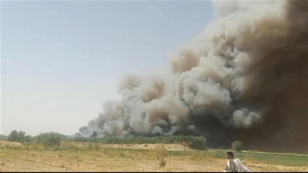 حريق الغابات الشجرية