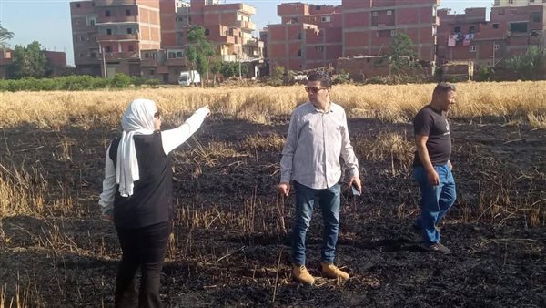 حريق ارض زراعية بالمنوفية