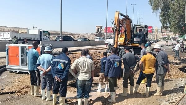 جانب من الفاعليات