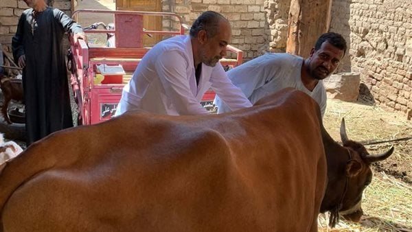 قافلة بيطرية مجانية