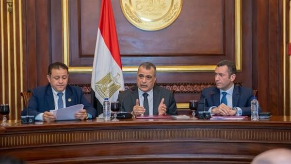 جانب من الجلسة 