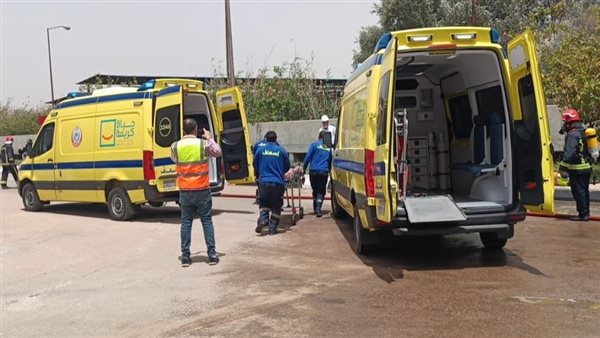 جانب من الفاعليات